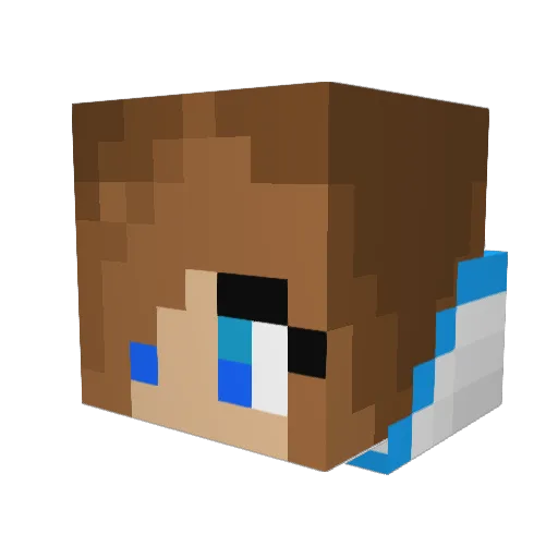 Emory060 Minecraft avatar head, 3D render