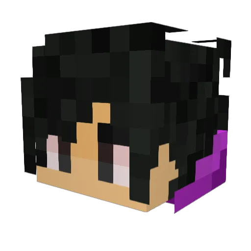 EmotionalBias Minecraft avatar head, 3D render