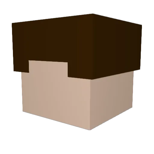 EmpanadaGuy Minecraft avatar head, 3D render