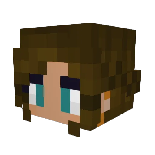 Empaswag Minecraft avatar head, 3D render