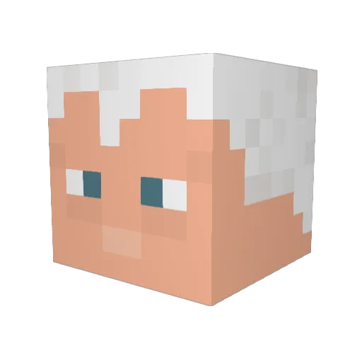 Emperor24456 Minecraft avatar head, 3D render