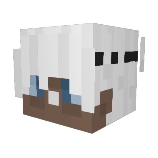 EmperorBrandul Minecraft avatar head, 3D render