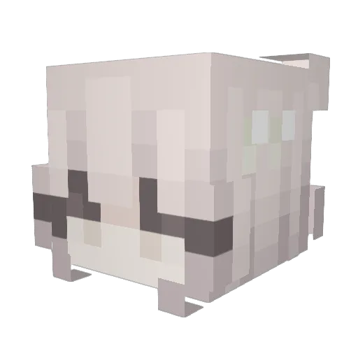 EmperorSnxpr Minecraft avatar head, 3D render