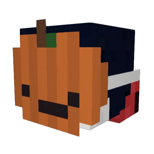 Emperor_pengu198 Minecraft avatar head, 3D render