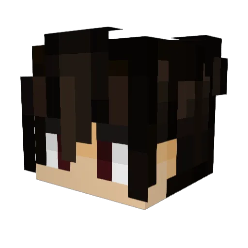Emphasiser Minecraft avatar head, 3D render