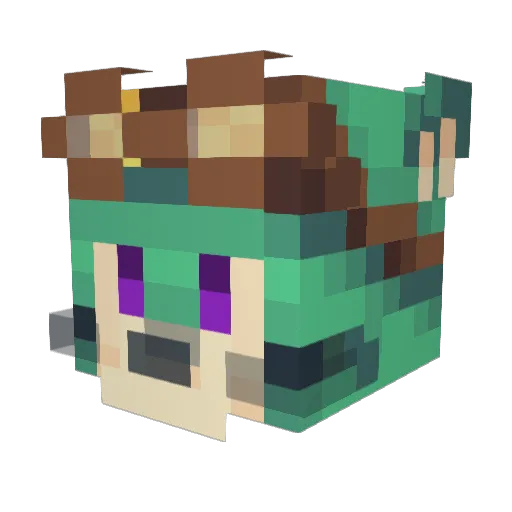 Empieza_ Minecraft avatar head, 3D render