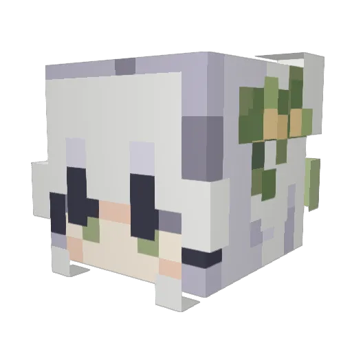 Empire_Skeepy Minecraft avatar head, 3D render
