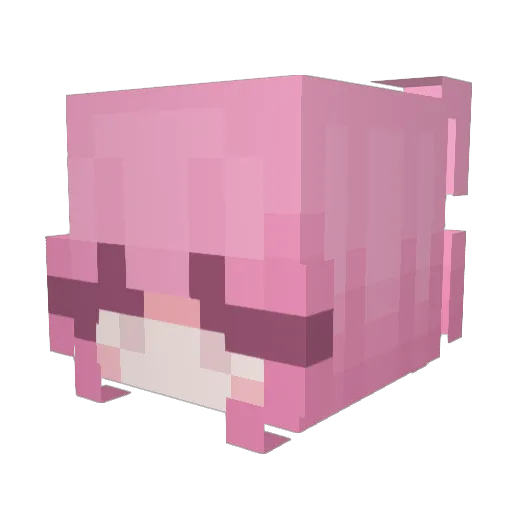 Empower09 Minecraft avatar head, 3D render
