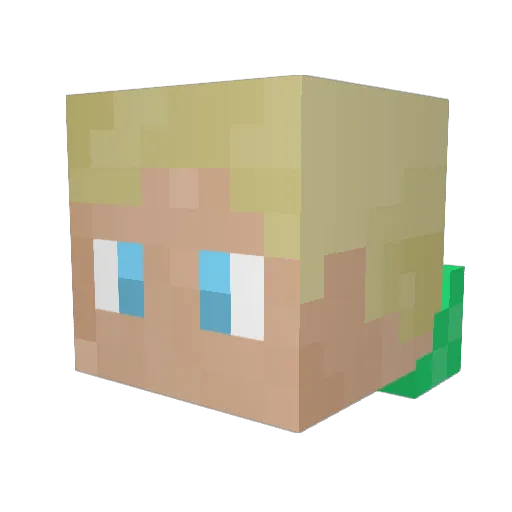 Emppooo Minecraft avatar head, 3D render