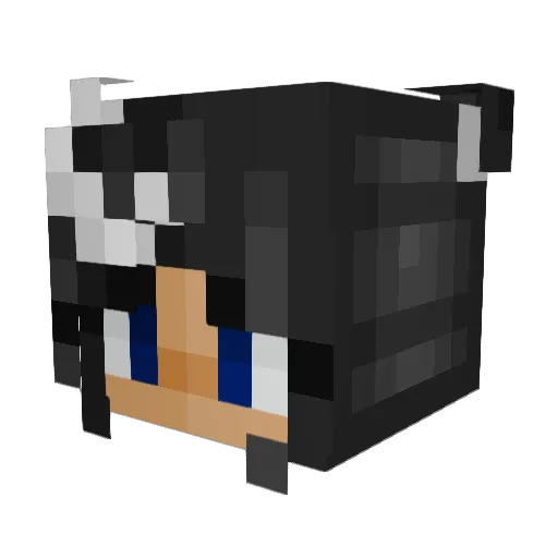 Emppudi Minecraft avatar head, 3D render