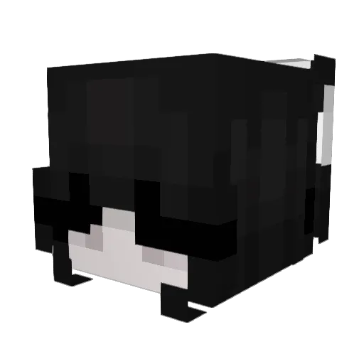 Empress3510 Minecraft avatar head, 3D render