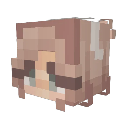 EmpressDedede Minecraft avatar head, 3D render
