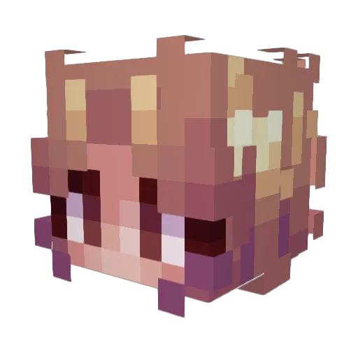 EmpressEgg Minecraft avatar head, 3D render