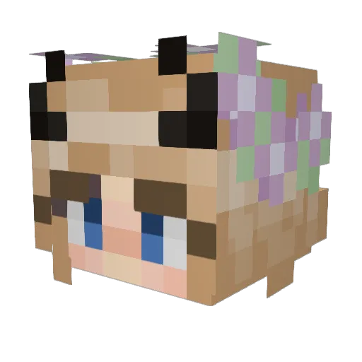 EmpressLily Minecraft avatar head, 3D render