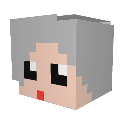 Empty2_ Minecraft avatar head, 3D render