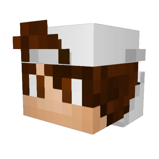 EmptyChest Minecraft avatar head, 3D render