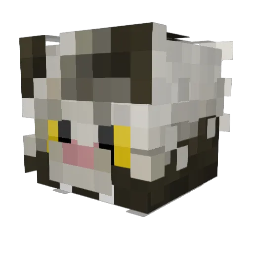 EmptyShrimp Minecraft avatar head, 3D render