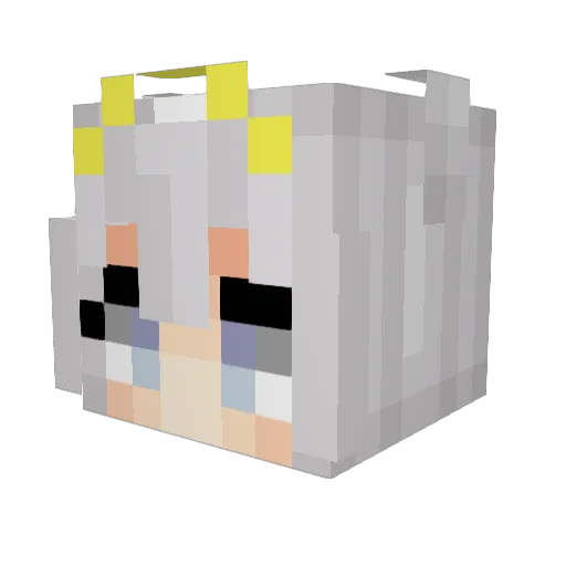 EmptyString9211 Minecraft avatar head, 3D render