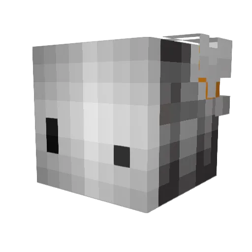 EmptyZodiac Minecraft avatar head, 3D render