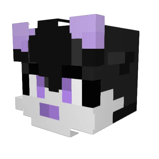 Empty_Rivers Minecraft avatar head, 3D render