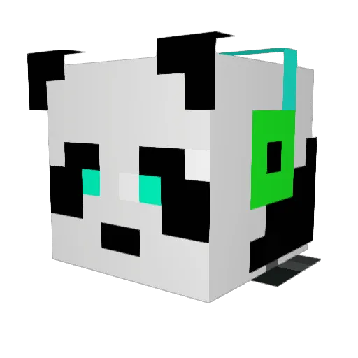 Emrald67 Minecraft avatar head, 3D render