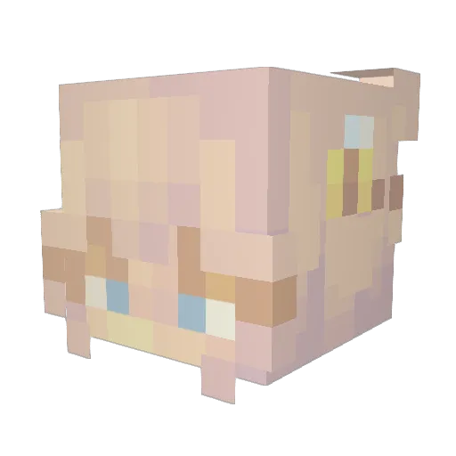 Emsen79 Minecraft avatar head, 3D render