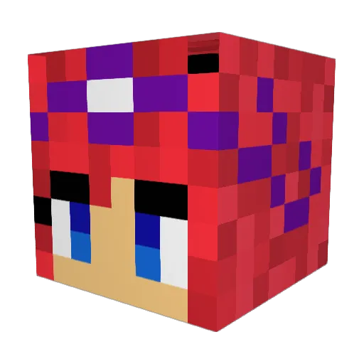 Emsily1 Minecraft avatar head, 3D render
