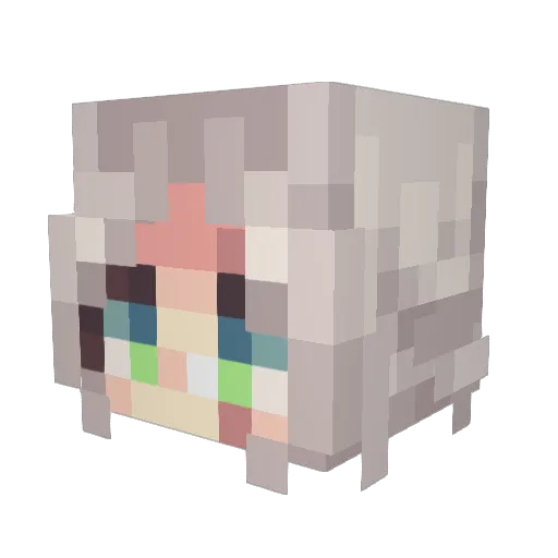 Emtenann Minecraft avatar head, 3D render