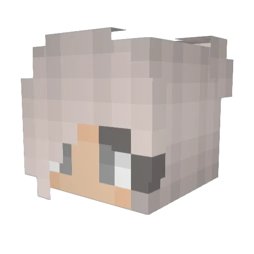 Emullins21 Minecraft avatar head, 3D render