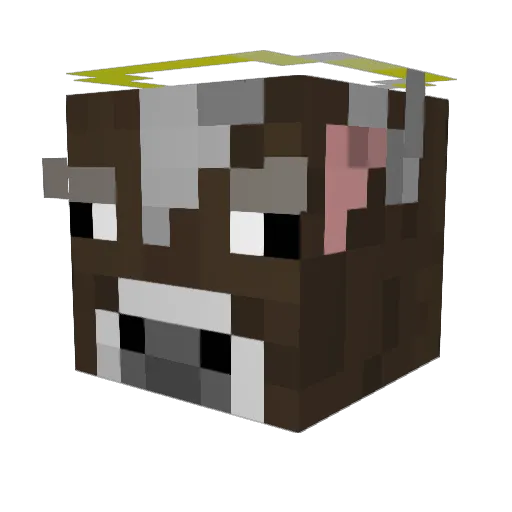 Emuluko06 Minecraft avatar head, 3D render