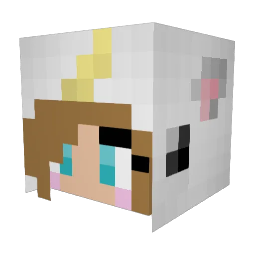 Emuuuuuu Minecraft avatar head, 3D render