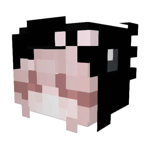 Emxlia25 Minecraft avatar head, 3D render