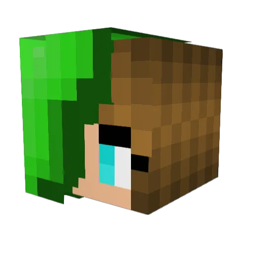EmyF0x Minecraft avatar head, 3D render