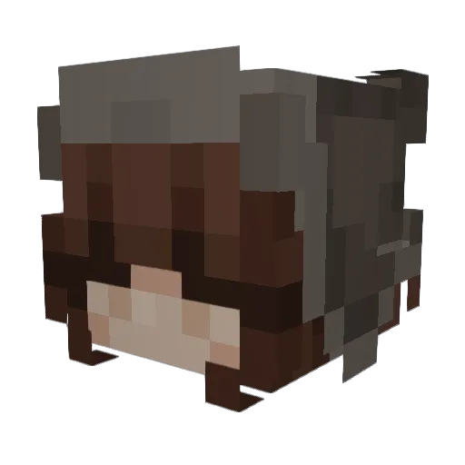 Emzee_ Minecraft avatar head, 3D render