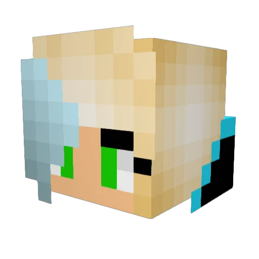 Emziecool Minecraft avatar head, 3D render