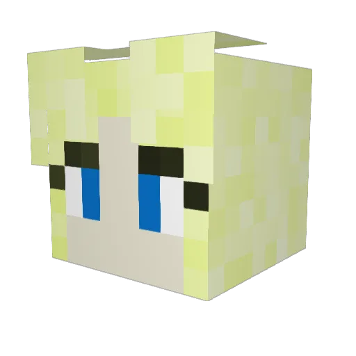 Emzo6 Minecraft avatar head, 3D render