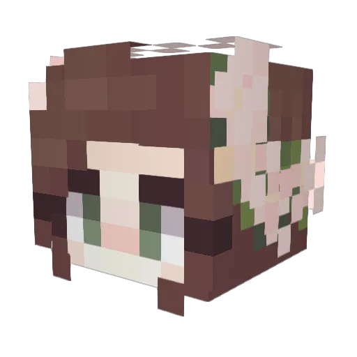 Emzuuu Minecraft avatar head, 3D render