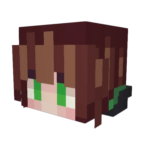 En1Gm4X Minecraft avatar head, 3D render