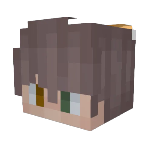 En1MyyZWER Minecraft avatar head, 3D render
