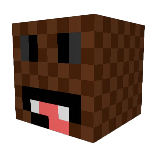 En1gmaTrash Minecraft avatar head, 3D render