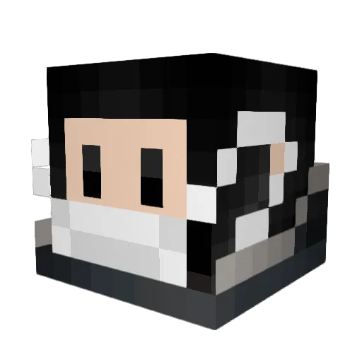En810 Minecraft avatar head, 3D render