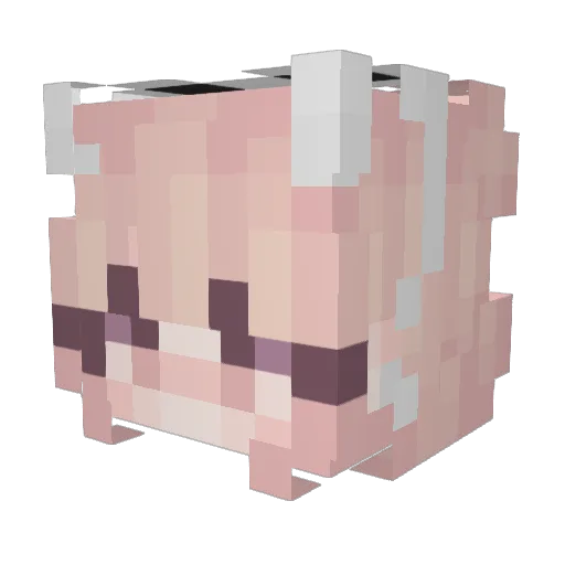EnDMe911 Minecraft avatar head, 3D render