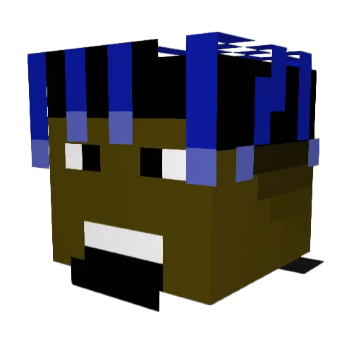 EnRo1337 Minecraft avatar head, 3D render