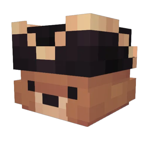 EnSlickepott Minecraft avatar head, 3D render