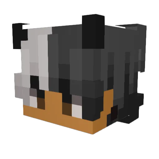 EnVadeh Minecraft avatar head, 3D render