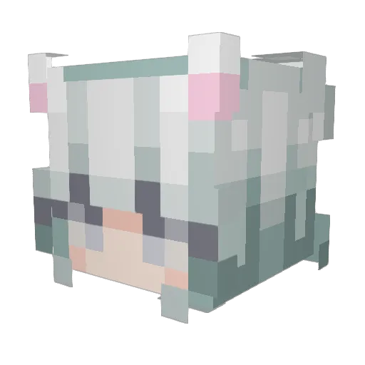 EnViy_x Minecraft avatar head, 3D render