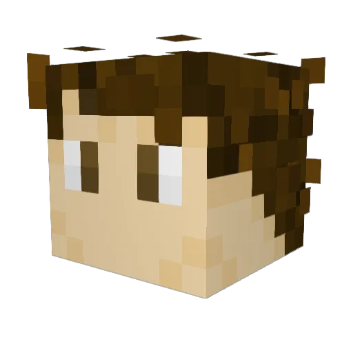 EnableCola Minecraft avatar head, 3D render