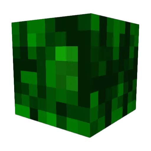 Enablied Minecraft avatar head, 3D render