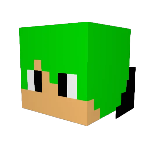 Enak30 Minecraft avatar head, 3D render