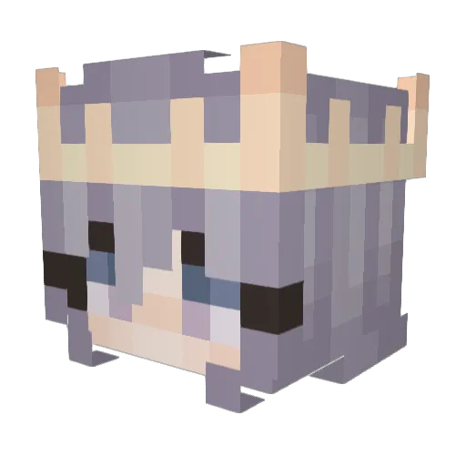 Enas_ Minecraft avatar head, 3D render
